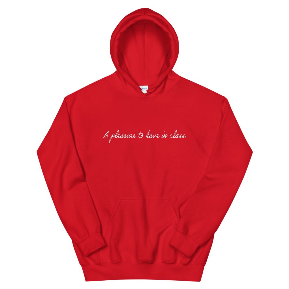 Dani-Tees Pleasure Unisex Hooded Sweatshirt
