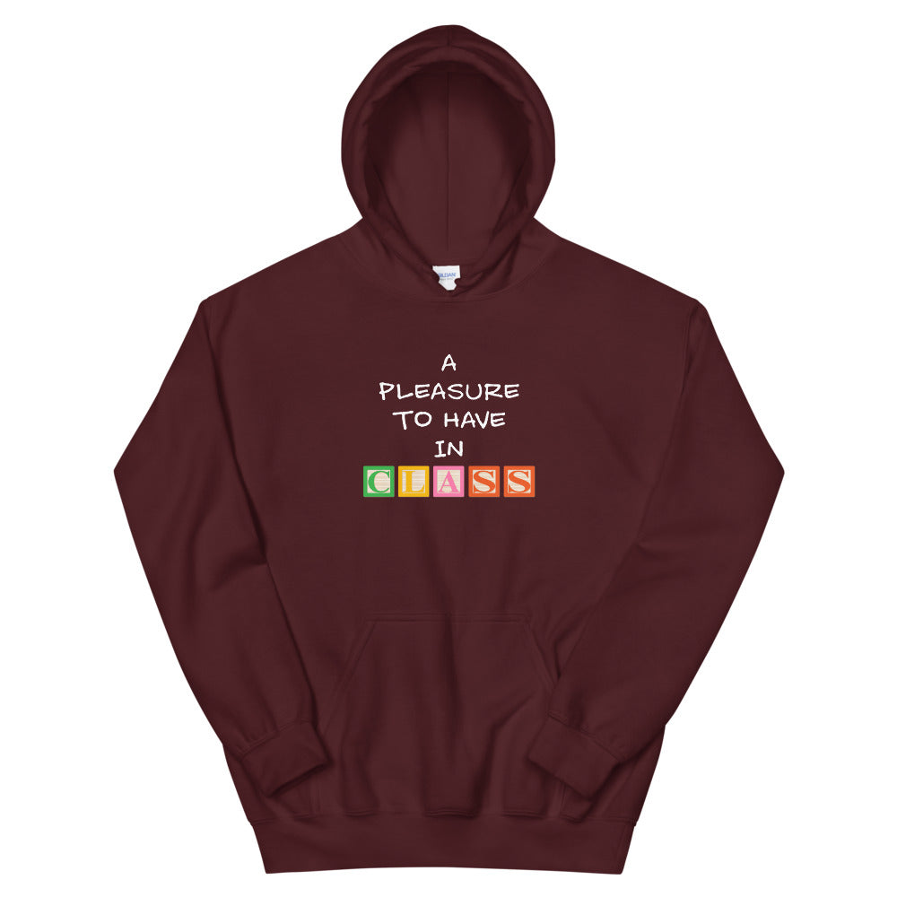 Dani-Tees Pleasure Unisex Hooded Sweatshirt